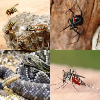 Course 151 Biological Health Hazards in Construction Overview Page